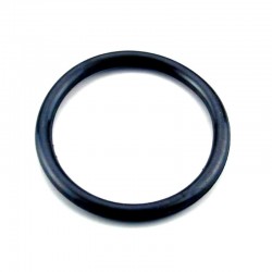 ASTRAL_Recambio_Proyector_JUNTA_TORICA_4403010304_1.jpg
