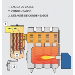 Domusa_CALDERA_Gas_oil_EVOLUTION_EV30_HFM_ACS_Instantanea_30,2_Kw_TEVO000042_2.jpg