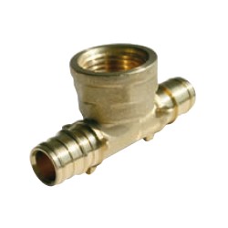 PROVAI F&R TE HEMBRA Laton...