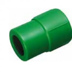 EGB MANGUITO REDUCIDO P.P.R...