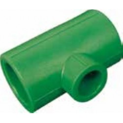 EGB TE REDUCIDA P.P.R...