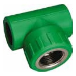 EGB TE HEMBRA P.P.R...