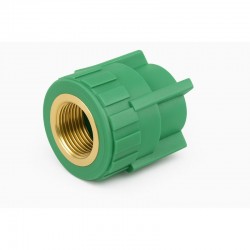 EGB MANGUITO HEMBRA P.P.R...