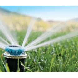 HUNTER TOBERA Riego MP...