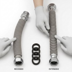 LATIGUILLO_EXTENSIBLE_Macho_Hembra_2.jpg