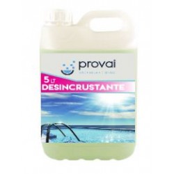 Lt DESINCRUSTANTE Piscina