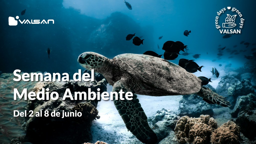 Green Days - Día Mundial del Medio Ambiente