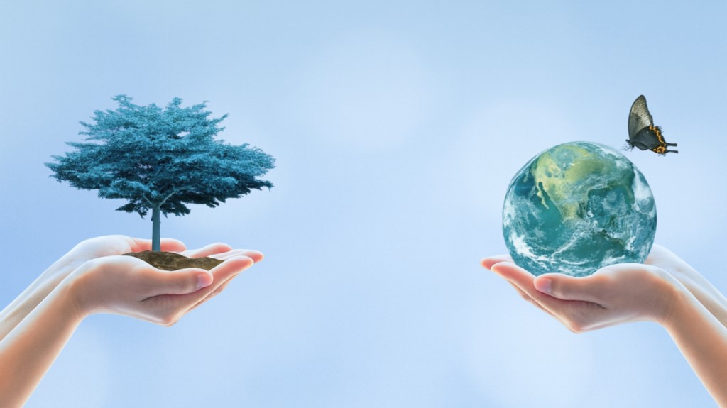 Semana de la Naturaleza: Comprometidos con un futuro más sostenible